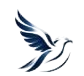 logo-removebg-preview